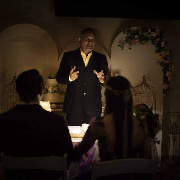 Bodas